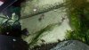 100_3122.jpg