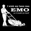 emo lawn.jpg