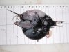 Anglerfish.JPG