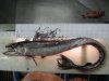Lancetfish 6.jpg
