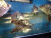 DSC06440.JPG