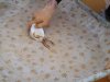 DSC00501.JPG