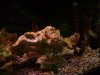 DSC03042.JPG