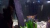 100_2676.jpg