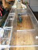my 125g fish tank build 004.JPG