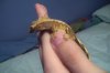 100_0244.jpg