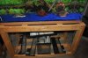 tanks 001.JPG