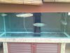 DSC00950.JPG