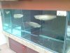 DSC00956.JPG