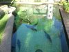 DSC00986.JPG