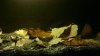 DSC03445.JPG