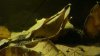 DSC03446.JPG