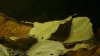 DSC03447.JPG