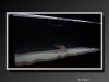 KnifeFish-11.jpeg