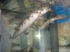 Water World 083.jpg