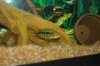 Picture 178.jpg
