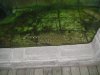 DSC00306.JPG