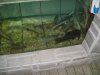 DSC00307.JPG