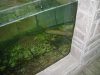 DSC00308.JPG