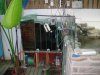 DSC00312.JPG