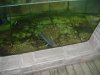 DSC00320.JPG