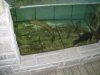 DSC00321.JPG