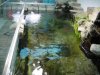 DSC00323.JPG