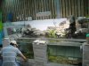 DSC00382.JPG