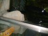 DSC00387.JPG