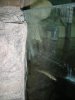 DSC00390.JPG