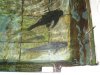 DSC00396.JPG