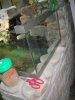 DSC00402.JPG