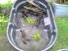 TURTS2.JPG TURTS2.JPG