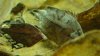DSC03477.JPG