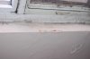 DSC_0243.JPG DSC_0243.JPG