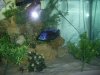 PIC_0916.JPG