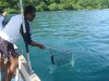 costa rica 2009 028.jpg