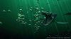 4352_Sea_Monsters_2.jpg