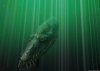 4352_Sea_Monsters_3.jpg