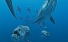 sea-monsters-3-d-a-prehistoric-adventure-3.jpg