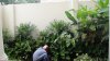 DSC00517.JPG
