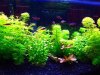 20gallon%20%284%29.jpg