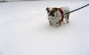 IMG_3572.jpg