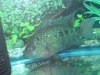DSC01192.JPG