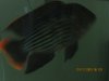 IMG_2181.JPG