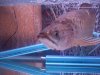 blue and jardini 007.jpg
