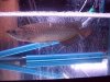 blue and jardini 010.jpg