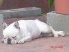 DSC00983.JPG