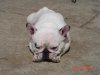 DSC01636.JPG