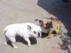 DSC01638.JPG